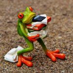 frog overwhelm