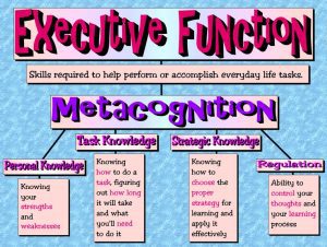 metacognition and the summer slide